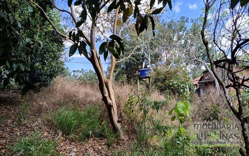 Terreno Rural Com 1000m² À Venda em Estiva MG COD2259 (2)