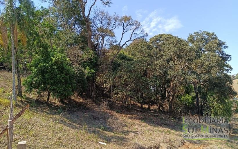 Terreno Rural Com 22.000m² na Estrada Principal À Venda em Cambuí MG COD2265 (1)