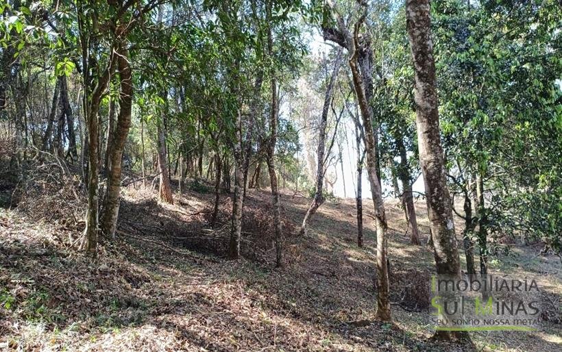 Terreno Rural Com 22.000m² na Estrada Principal À Venda em Cambuí MG COD2265 (10)