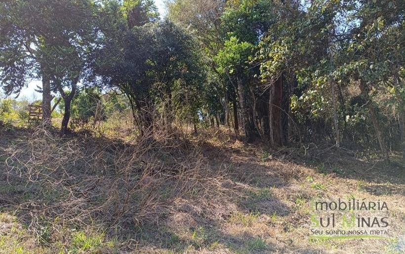 Terreno Rural Com 22.000m² na Estrada Principal À Venda em Cambuí MG COD2265 (11)