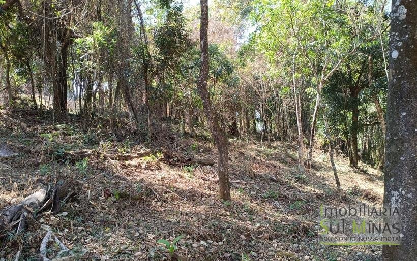 Terreno Rural Com 22.000m² na Estrada Principal À Venda em Cambuí MG COD2265 (12)