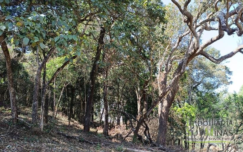Terreno Rural Com 22.000m² na Estrada Principal À Venda em Cambuí MG COD2265 (3)