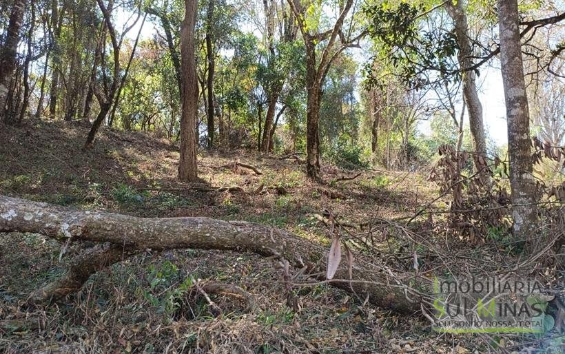 Terreno Rural Com 22.000m² na Estrada Principal À Venda em Cambuí MG COD2265 (5)