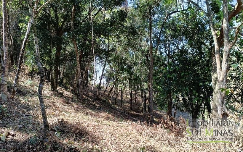 Terreno Rural Com 22.000m² na Estrada Principal À Venda em Cambuí MG COD2265 (6)