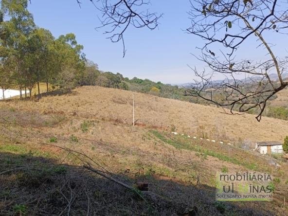 Terreno Rural Com 22.000m² na Estrada Principal À Venda em Cambuí MG COD2265 (7)