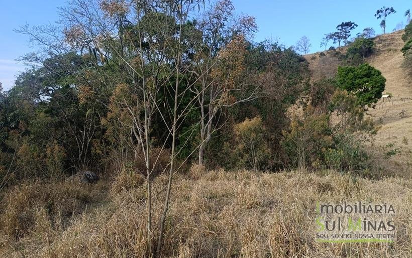 Terreno Rural com 1000m2 À Venda no Córrego do Bom Jesus COD2270 (1)