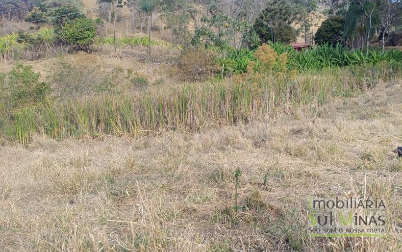 Terreno Rural com 1000m2 À Venda no Córrego do Bom Jesus COD2270 (2)