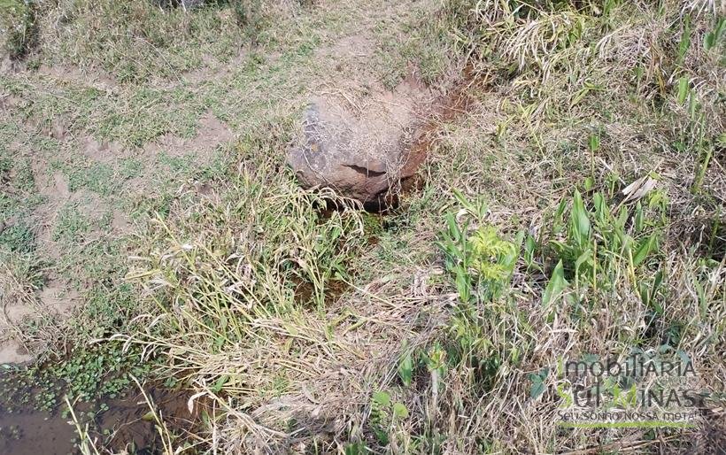 Terreno com 5 Alqueires À Venda em Paraisópolis COD1869 (10)