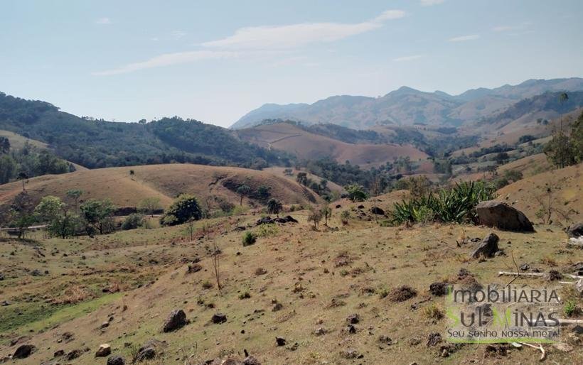Terreno com 5 Alqueires À Venda em Paraisópolis COD1869 (12)