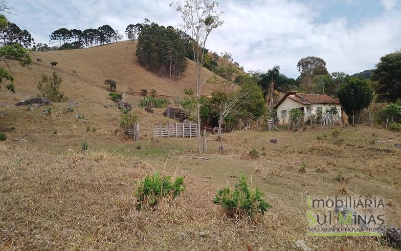 Terreno com 5 Alqueires À Venda em Paraisópolis COD1869 (13)