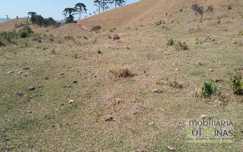 Terreno com 5 Alqueires À Venda em Paraisópolis COD1869 (18)