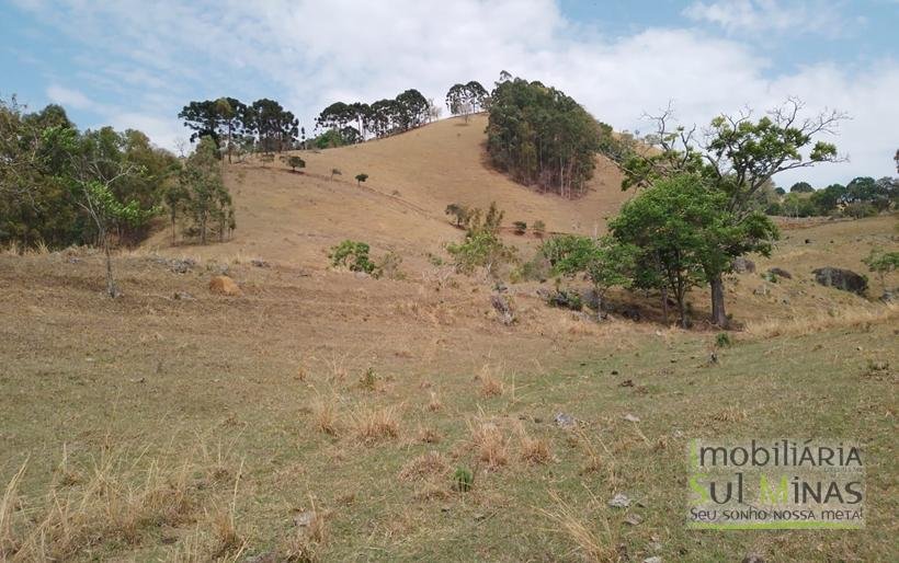 Terreno com 5 Alqueires À Venda em Paraisópolis COD1869 (23)