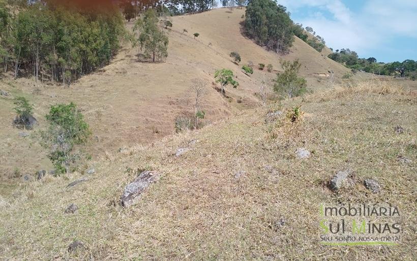 Terreno com 5 Alqueires À Venda em Paraisópolis COD1869 (25)