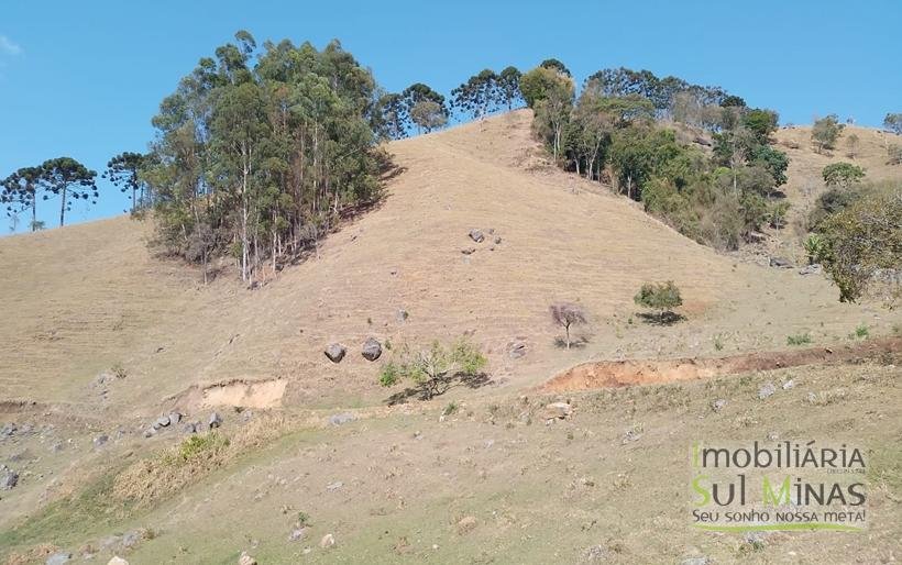 Terreno com 5 Alqueires À Venda em Paraisópolis COD1869 (26)