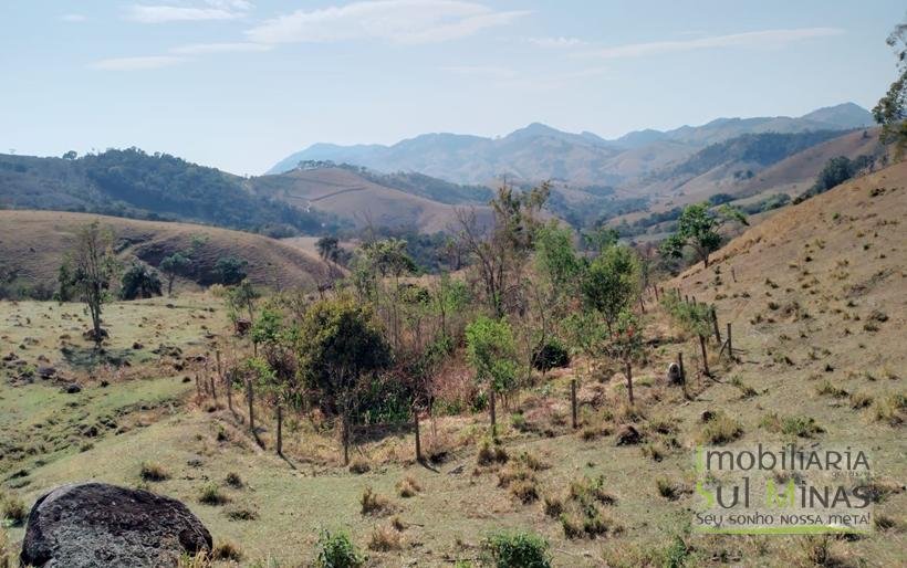 Terreno com 5 Alqueires À Venda em Paraisópolis COD1869 (3)