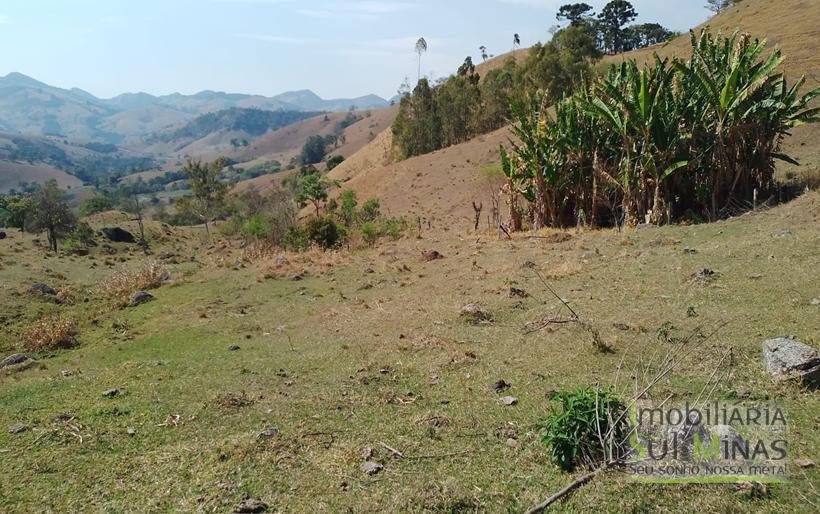 Terreno com 5 Alqueires À Venda em Paraisópolis COD1869 (5)