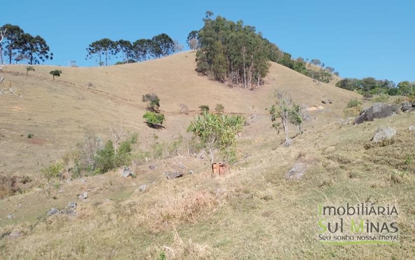 Terreno com 5 Alqueires À Venda em Paraisópolis COD1869 (9)