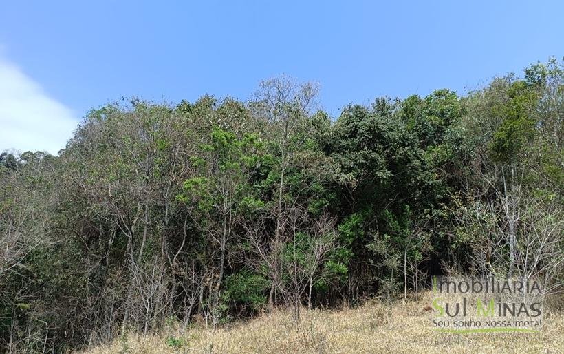 Terreno de 51,9503 Hectares Com Vista Espetácular À Venda em Estiva MG COD2266 (10)