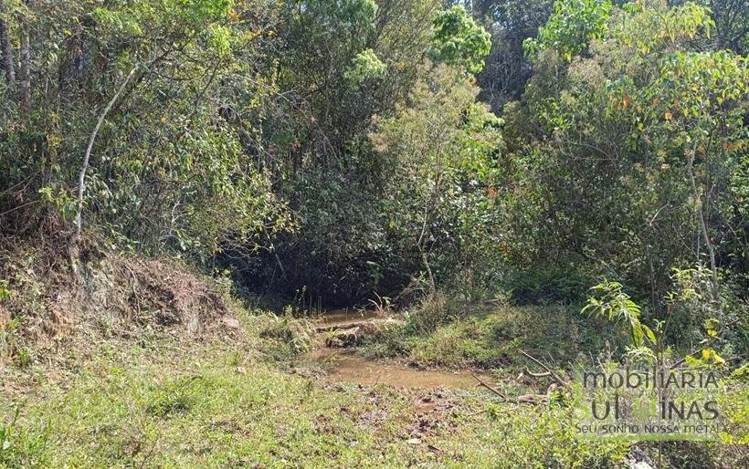 Terreno de 51,9503 Hectares Com Vista Espetácular À Venda em Estiva MG COD2266 (11)