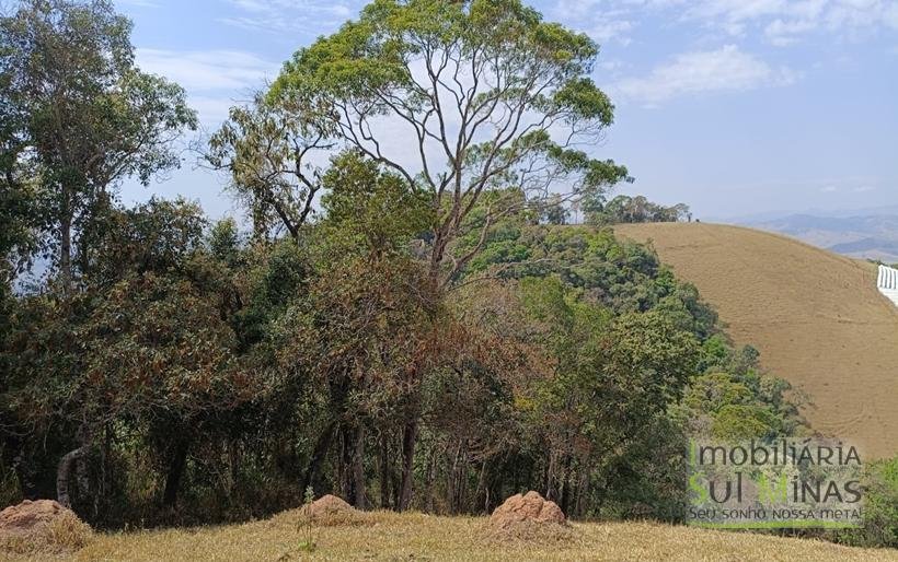 Terreno de 51,9503 Hectares Com Vista Espetácular À Venda em Estiva MG COD2266 (12)
