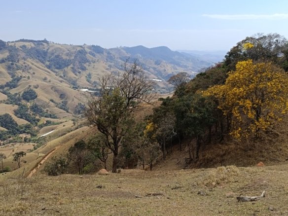 Terreno de 51,9503 Hectares Com Vista Espetácular À Venda em Estiva MG COD2266 (14)