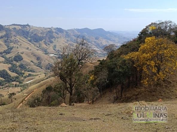 Terreno de 51,9503 Hectares Com Vista Espetácular À Venda em Estiva MG COD2266 (14)