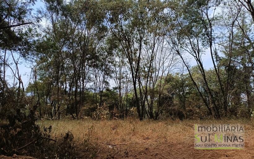 Terreno de 51,9503 Hectares Com Vista Espetácular À Venda em Estiva MG COD2266 (17)