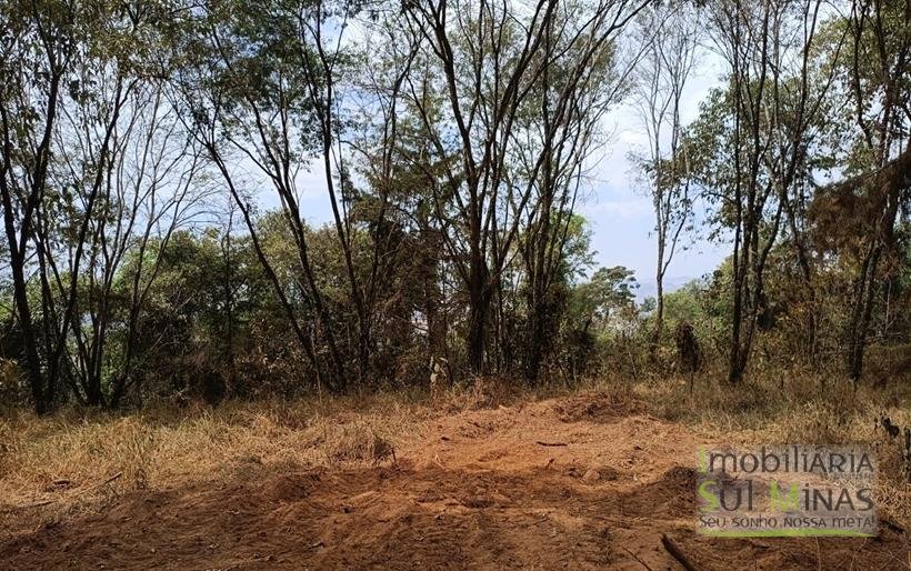 Terreno de 51,9503 Hectares Com Vista Espetácular À Venda em Estiva MG COD2266 (20)