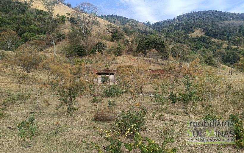 Terreno de 51,9503 Hectares Com Vista Espetácular À Venda em Estiva MG COD2266 (27)