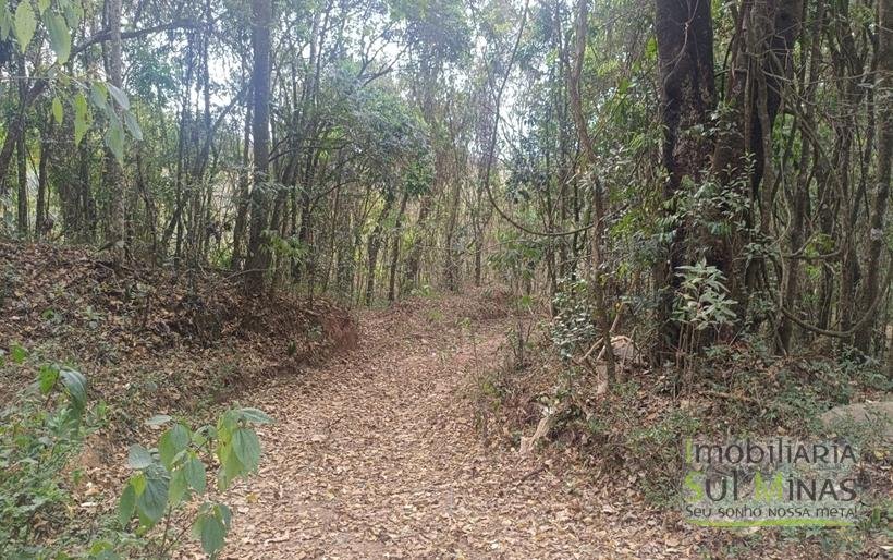 Terreno de 51,9503 Hectares Com Vista Espetácular À Venda em Estiva MG COD2266 (34)