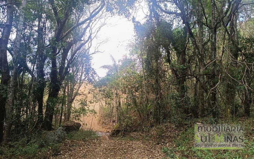 Terreno de 51,9503 Hectares Com Vista Espetácular À Venda em Estiva MG COD2266 (35)