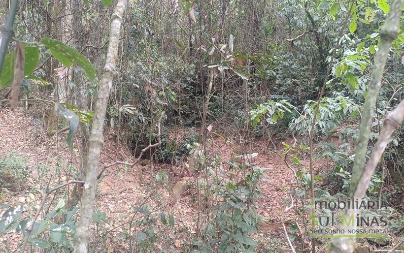 Terreno de 51,9503 Hectares Com Vista Espetácular À Venda em Estiva MG COD2266 (37)