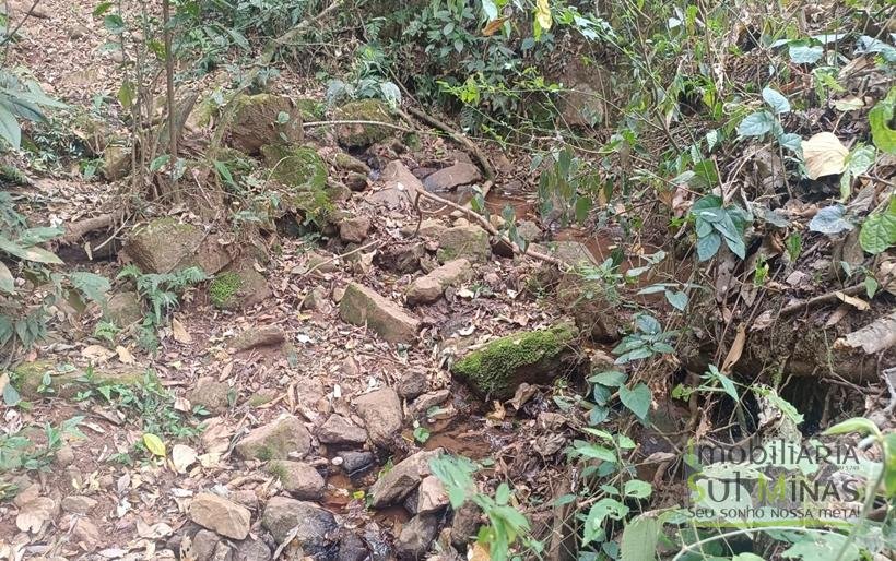 Terreno de 51,9503 Hectares Com Vista Espetácular À Venda em Estiva MG COD2266 (38)