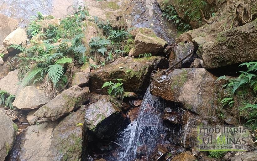 Terreno de 51,9503 Hectares Com Vista Espetácular À Venda em Estiva MG COD2266 (39)