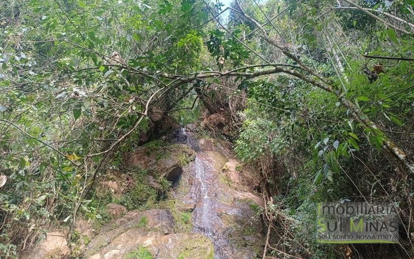 Terreno de 51,9503 Hectares Com Vista Espetácular À Venda em Estiva MG COD2266 (41)