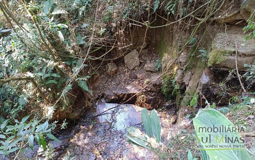 Terreno de 51,9503 Hectares Com Vista Espetácular À Venda em Estiva MG COD2266 (46)