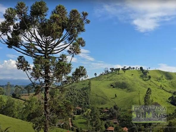 Terreno com 1500m² Com Poço À Venda em Cambuí MG COD2296 (7)