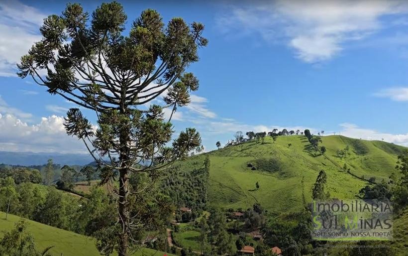 Terreno com 1500m² Com Poço À Venda em Cambuí MG COD2296 (7)