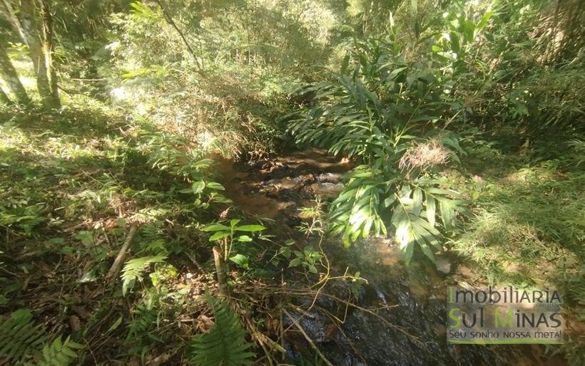 Terreno de 20.000m² Em ótima Localização À Venda em Cambuí MG COD2301 (12)