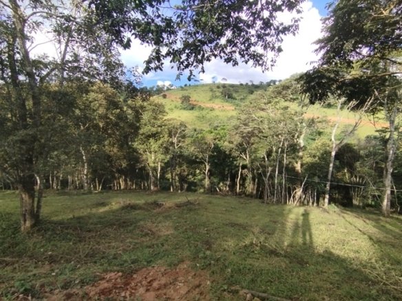 Terreno de 20.000m² Em ótima Localização À Venda em Cambuí MG COD2301 (13)