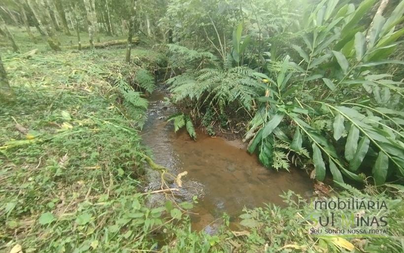 Terreno de 20.000m² Em ótima Localização À Venda em Cambuí MG COD2301 (14)