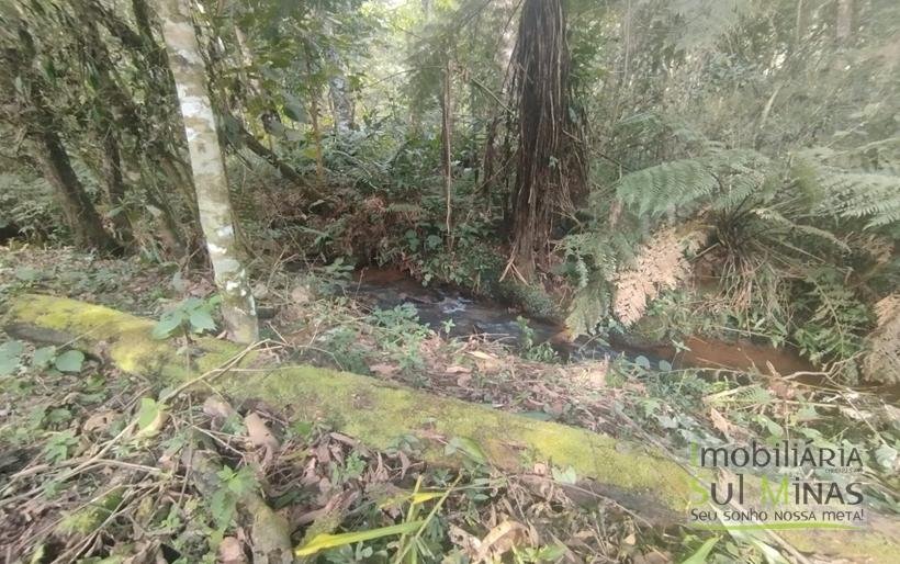 Terreno de 20.000m² Em ótima Localização À Venda em Cambuí MG COD2301 (15)