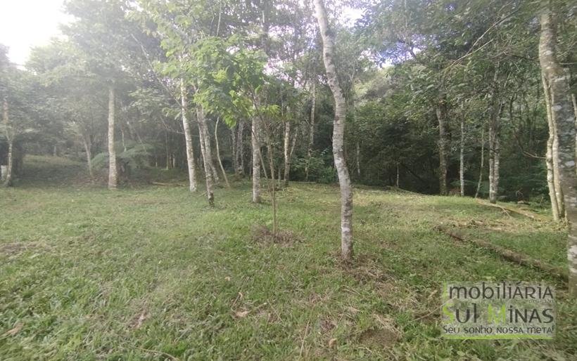 Terreno de 20.000m² Em ótima Localização À Venda em Cambuí MG COD2301 (16)