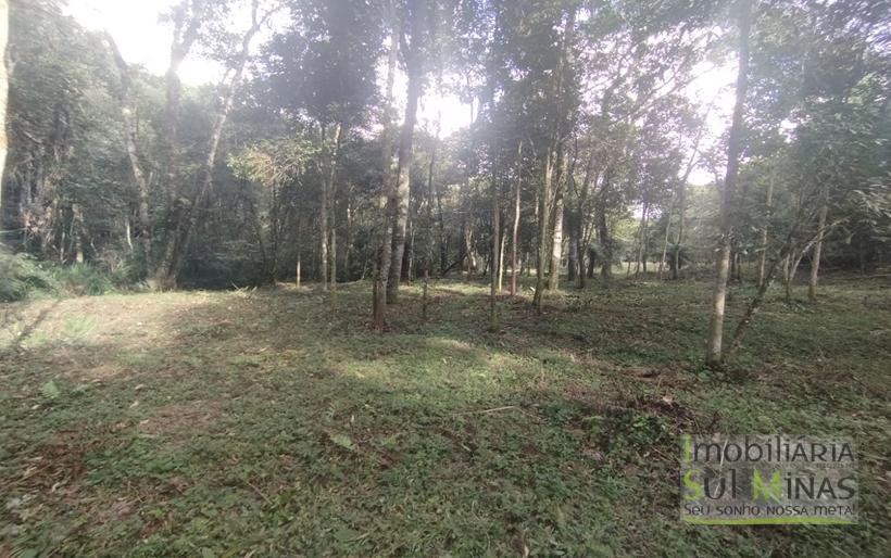 Terreno de 20.000m² Em ótima Localização À Venda em Cambuí MG COD2301 (17)