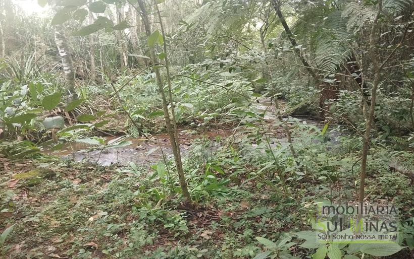 Terreno de 20.000m² Em ótima Localização À Venda em Cambuí MG COD2301 (5)