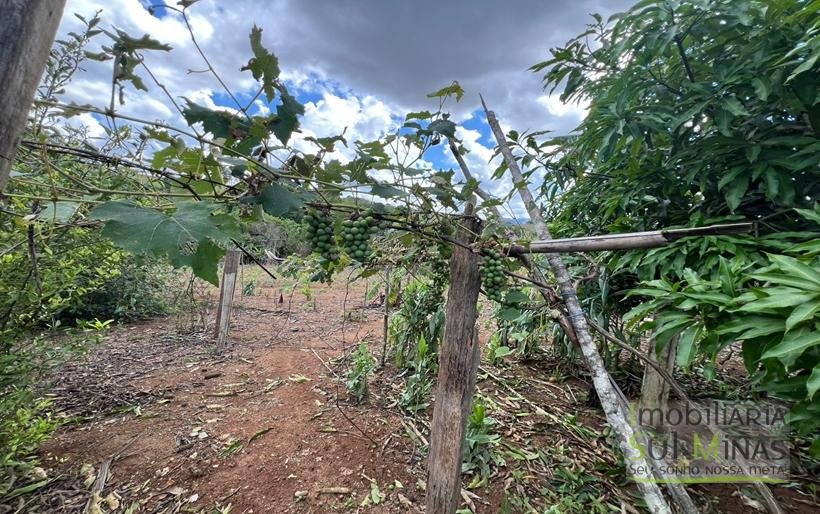 Chácara de 2000m à Venda em Estiva MG COD2308 (2)