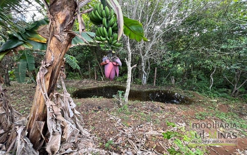Chácara de 2000m à Venda em Estiva MG COD2308 (3)
