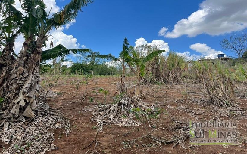Chácara de 2000m à Venda em Estiva MG COD2308 (5)