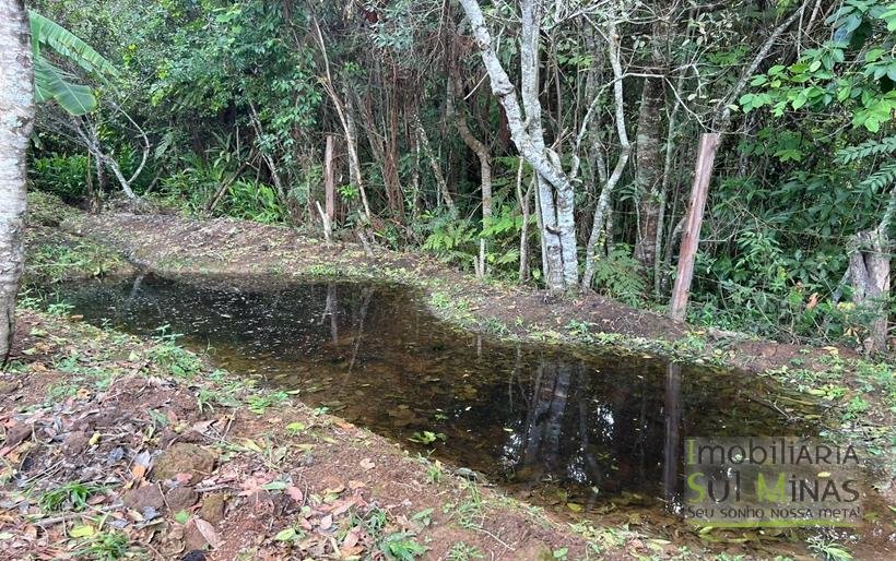Chácara de 2000m à Venda em Estiva MG COD2308 (7)