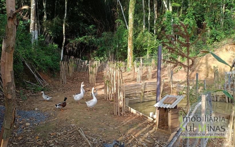 Chácara em Bairro Estruturado de Chácaras no Córrego do Bom Jesus MG COD1917 (9)